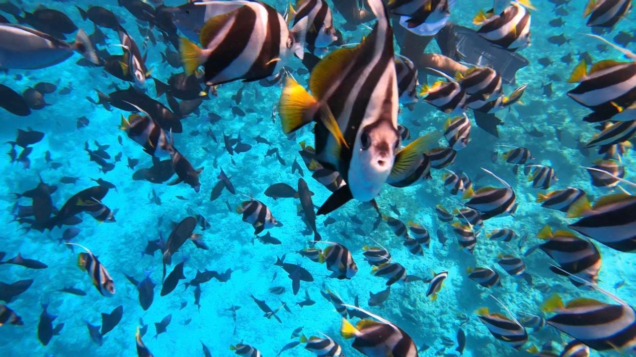 Infinity Dhiffushi Hotel Buitenkant foto